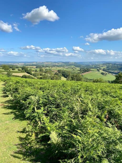 The Mill Stylish Rural Apartment With Beautiful Views Welsh Newton Common Eksteriør bilde