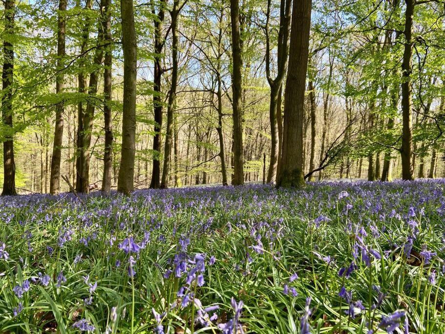 The Mill Stylish Rural Apartment With Beautiful Views Welsh Newton Common Eksteriør bilde
