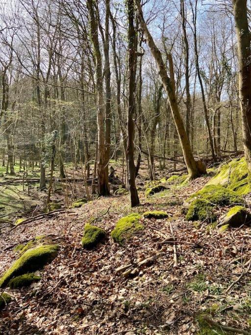 The Mill Stylish Rural Apartment With Beautiful Views Welsh Newton Common Eksteriør bilde
