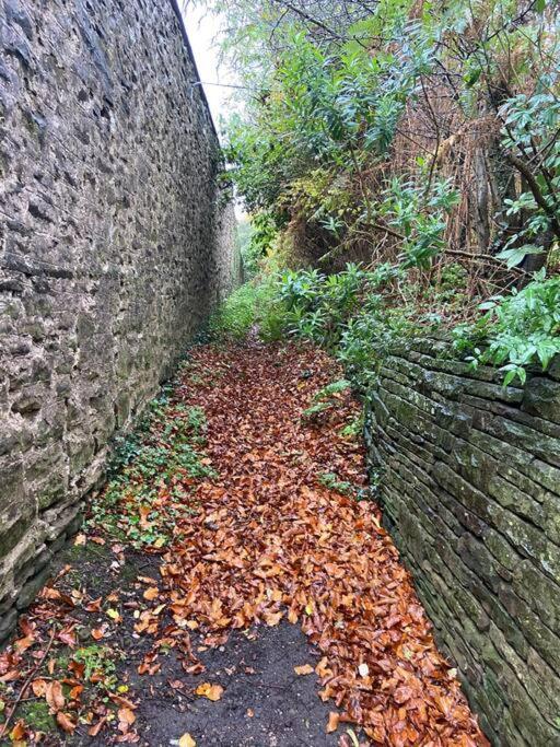 The Mill Stylish Rural Apartment With Beautiful Views Welsh Newton Common Eksteriør bilde