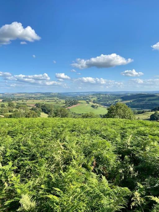 The Mill Stylish Rural Apartment With Beautiful Views Welsh Newton Common Eksteriør bilde